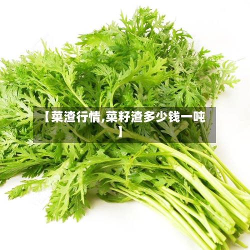 【菜渣行情,菜籽渣多少钱一吨】