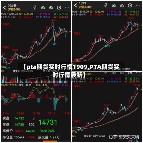 【pta期货实时行情1909,PTA期货实时行情最新】-第3张图片
