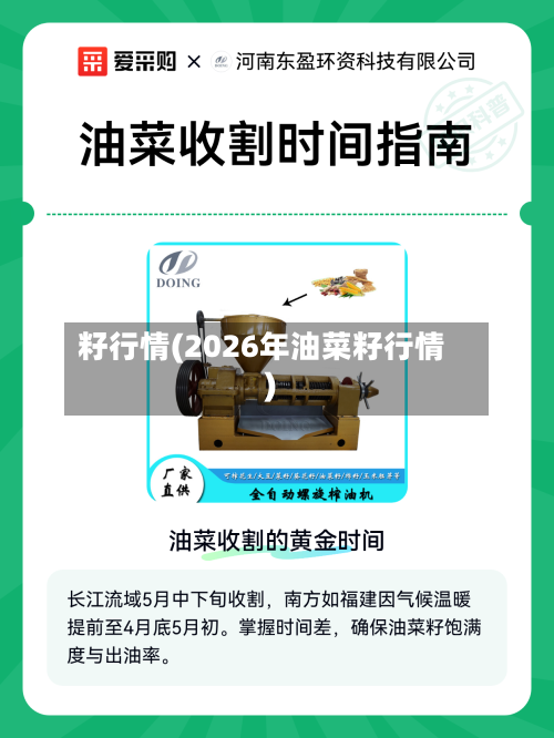 籽行情(2026年油菜籽行情)-第2张图片