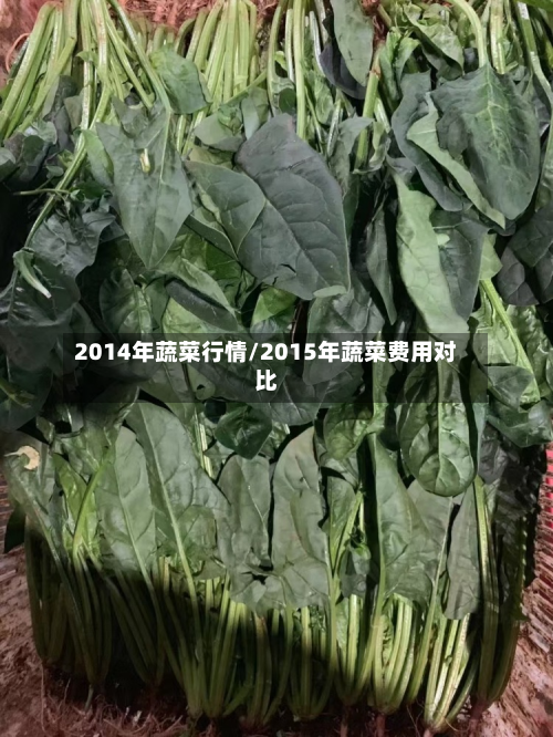 2014年蔬菜行情/2015年蔬菜费用对比-第1张图片