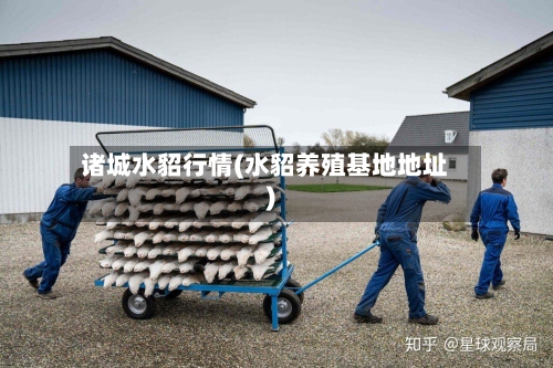 诸城水貂行情(水貂养殖基地地址)-第3张图片
