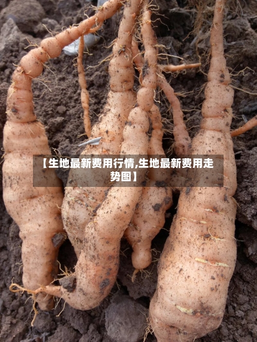 【生地最新费用行情,生地最新费用走势图】-第3张图片