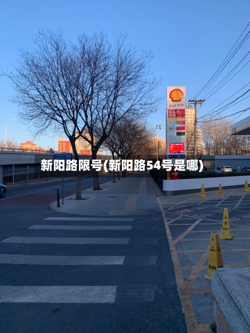 新阳路限号(新阳路54号是哪)-第2张图片