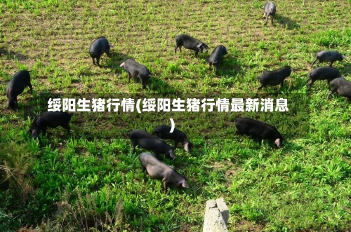 绥阳生猪行情(绥阳生猪行情最新消息)-第2张图片