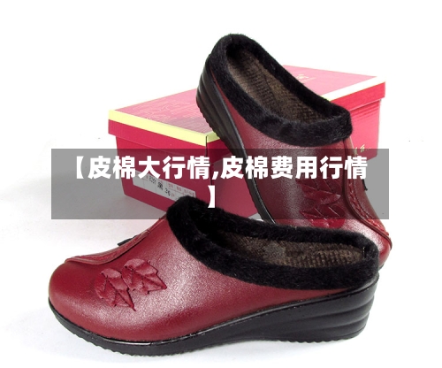 【皮棉大行情,皮棉费用行情】-第2张图片