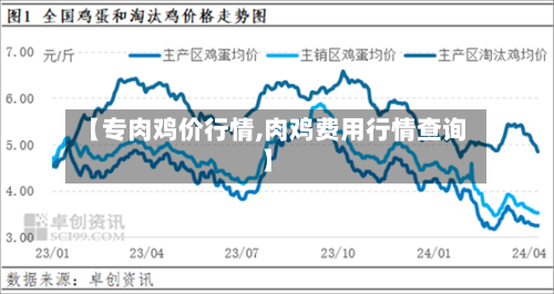 【专肉鸡价行情,肉鸡费用行情查询】-第3张图片