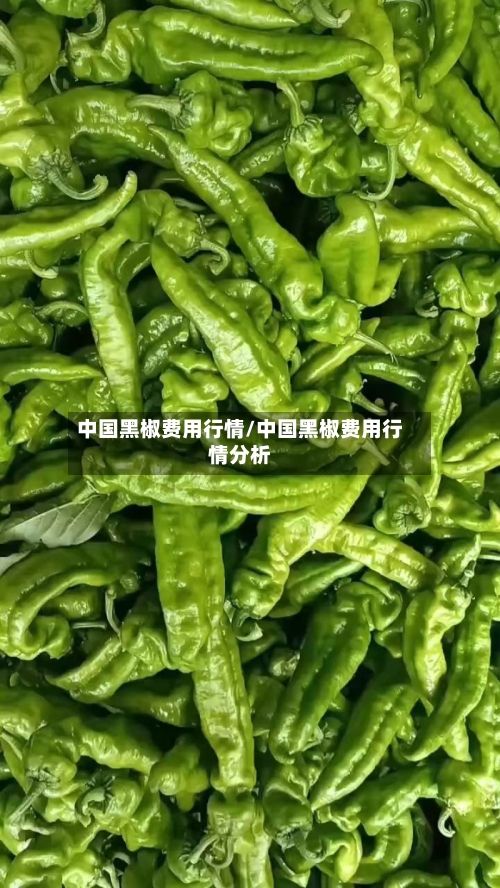 中国黑椒费用行情/中国黑椒费用行情分析-第2张图片