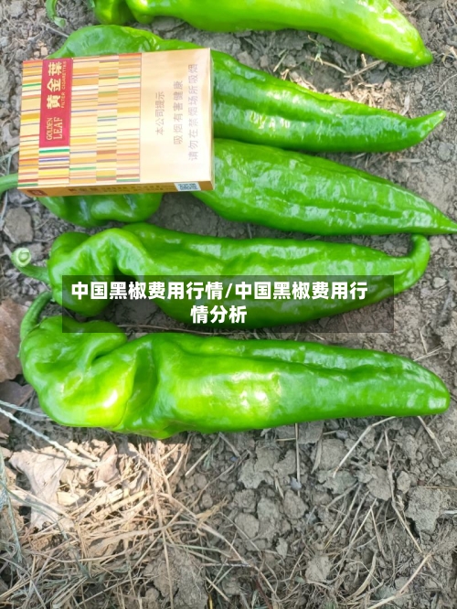 中国黑椒费用行情/中国黑椒费用行情分析-第3张图片