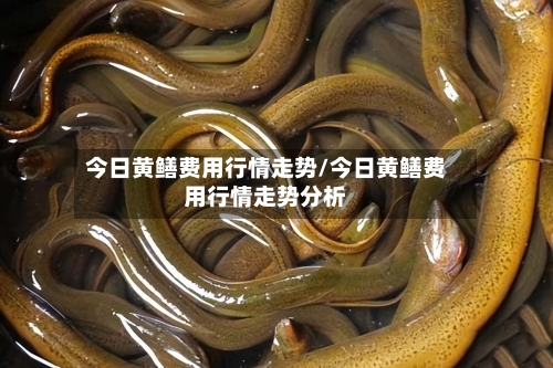 今日黄鳝费用行情走势/今日黄鳝费用行情走势分析-第2张图片