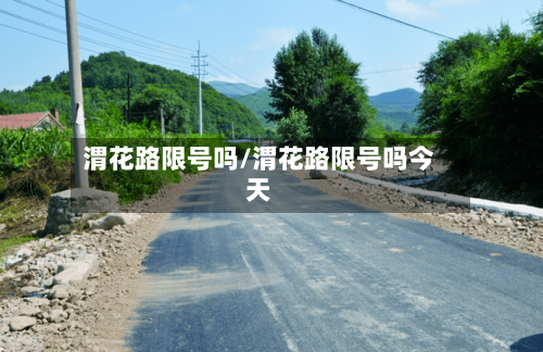 渭花路限号吗/渭花路限号吗今天-第2张图片