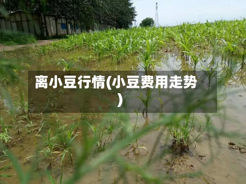 离小豆行情(小豆费用走势)-第2张图片