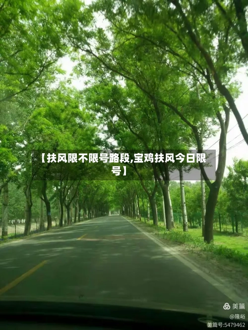 【扶风限不限号路段,宝鸡扶风今日限号】-第1张图片