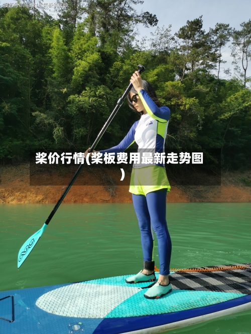 桨价行情(桨板费用最新走势图)-第3张图片