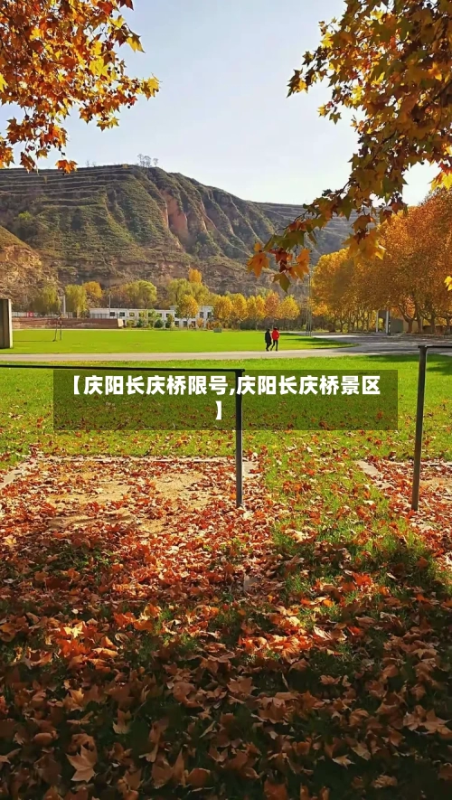 【庆阳长庆桥限号,庆阳长庆桥景区】-第2张图片