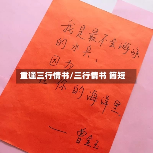 重逢三行情书/三行情书 简短-第2张图片