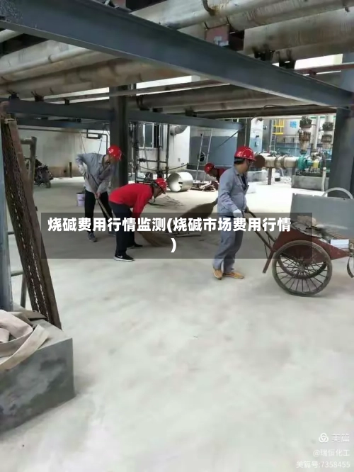 烧碱费用行情监测(烧碱市场费用行情)-第3张图片