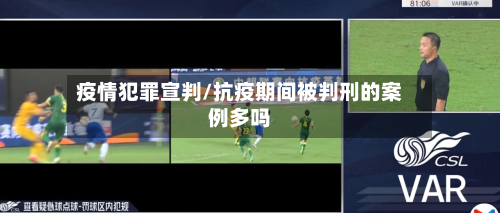 疫情犯罪宣判/抗疫期间被判刑的案例多吗-第2张图片