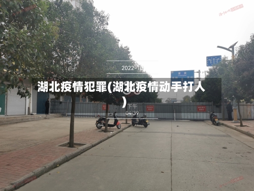 湖北疫情犯罪(湖北疫情动手打人)-第2张图片