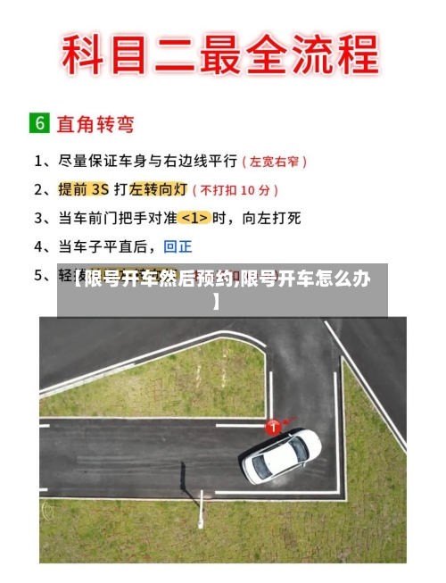 【限号开车然后预约,限号开车怎么办】-第2张图片