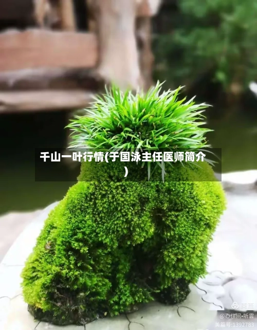 千山一叶行情(于国泳主任医师简介)-第2张图片