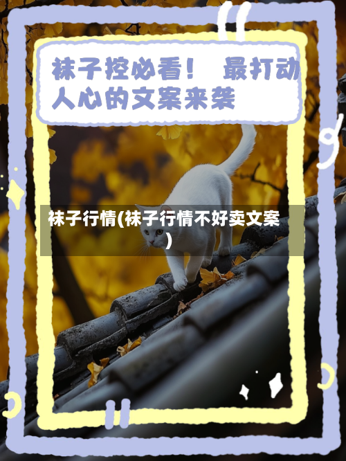 袜子行情(袜子行情不好卖文案)-第3张图片