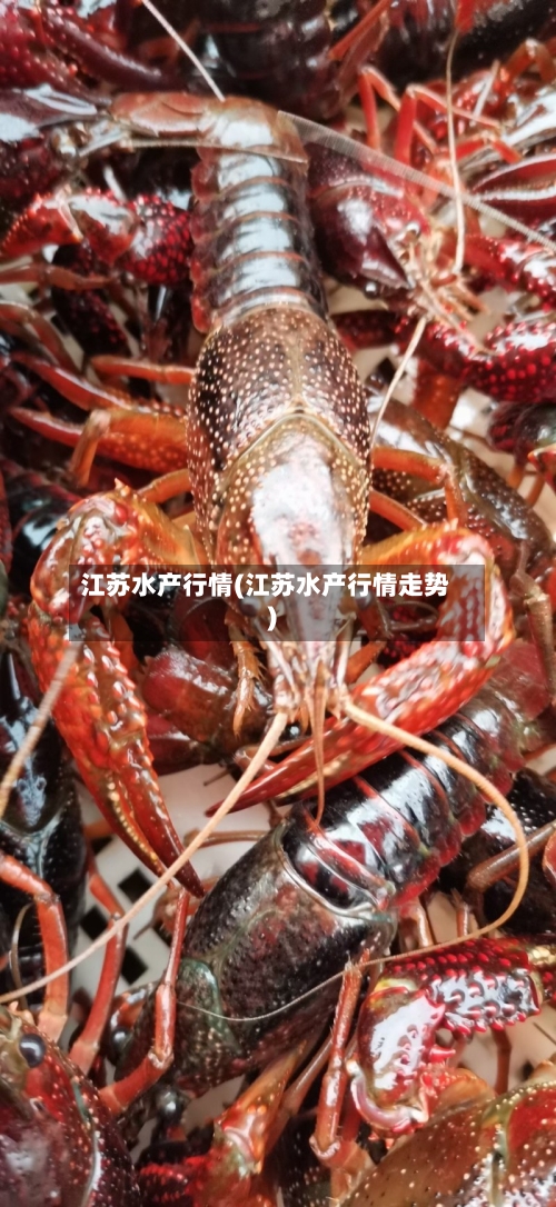 江苏水产行情(江苏水产行情走势)-第3张图片