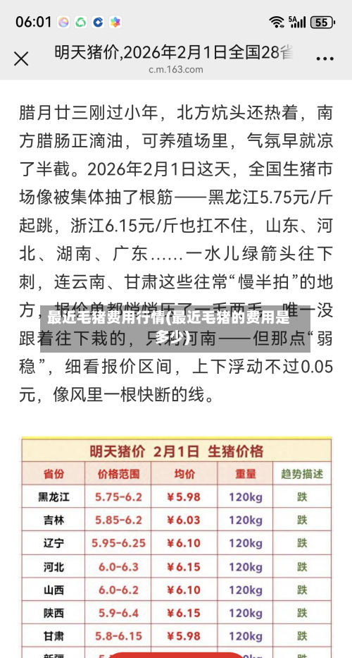 最近毛猪费用行情(最近毛猪的费用是多少)-第2张图片