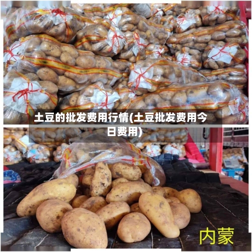 土豆的批发费用行情(土豆批发费用今日费用)-第1张图片