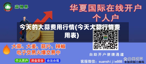 今天的大蒜费用行情(今天大蒜行情费用表)-第1张图片