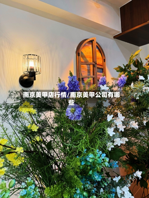 南京美甲店行情/南京美甲公司有哪些-第2张图片