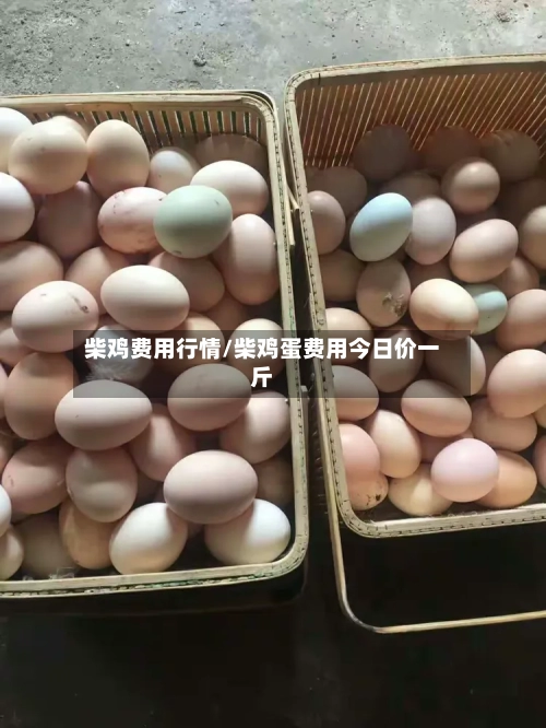 柴鸡费用行情/柴鸡蛋费用今日价一斤-第2张图片